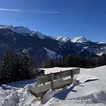 Bambi Auf 1400 M Nahe Arosa