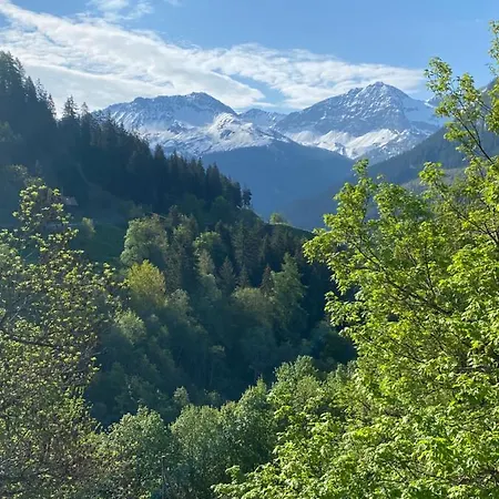 Appartement Bambi Auf 1400 M Nahe Arosa Peist