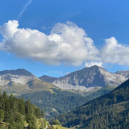 Bambi Auf 1400 M Nahe Arosa Peist