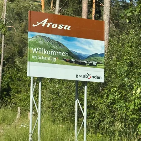 Bambi Auf 1400 M Nahe Arosa