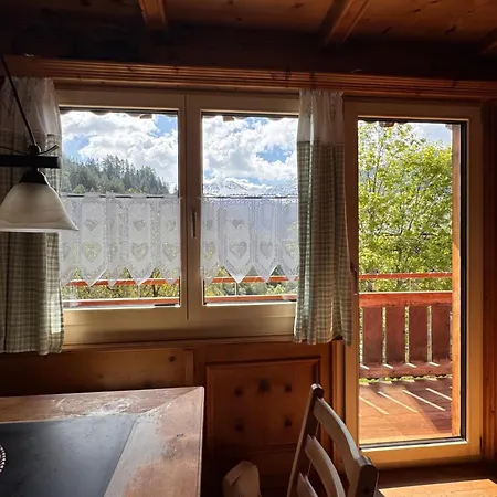 Bambi Auf 1400 M Nahe Arosa *