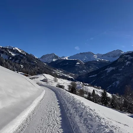 Bambi Auf 1400 M Nahe Arosa Peist