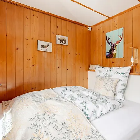 Bambi Auf 1400 M Nahe Arosa Peist