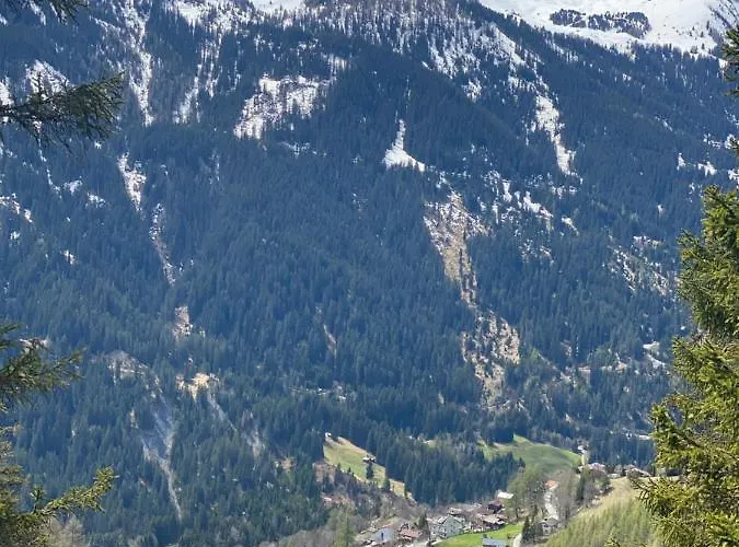 Bambi Auf 1400 M Nahe Arosa Daire *