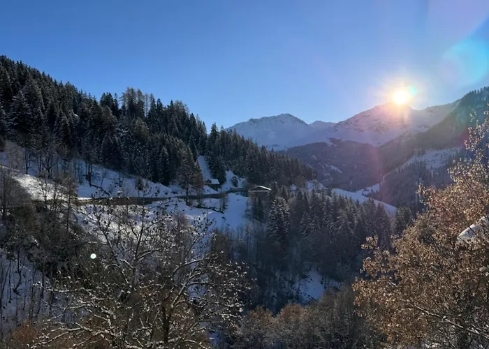 Bambi Auf 1400 M Nahe Arosa Daire Peist