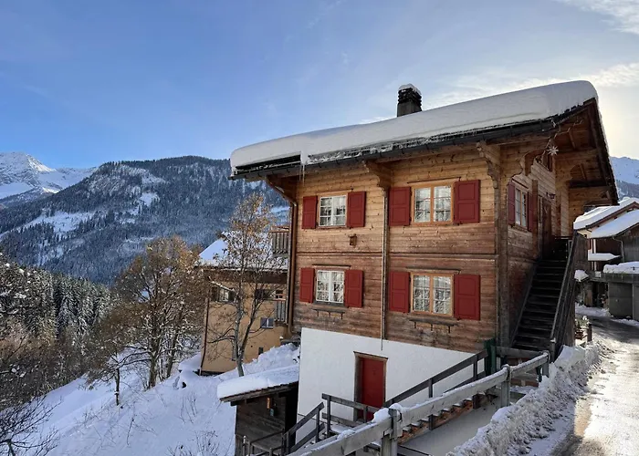 Daire Bambi Auf 1400 M Nahe Arosa