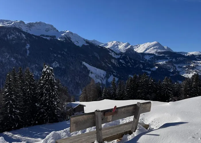 Bambi Auf 1400 M Nahe Arosa