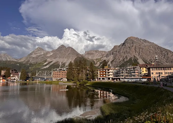 Bambi Auf 1400 M Nahe Arosa Daire