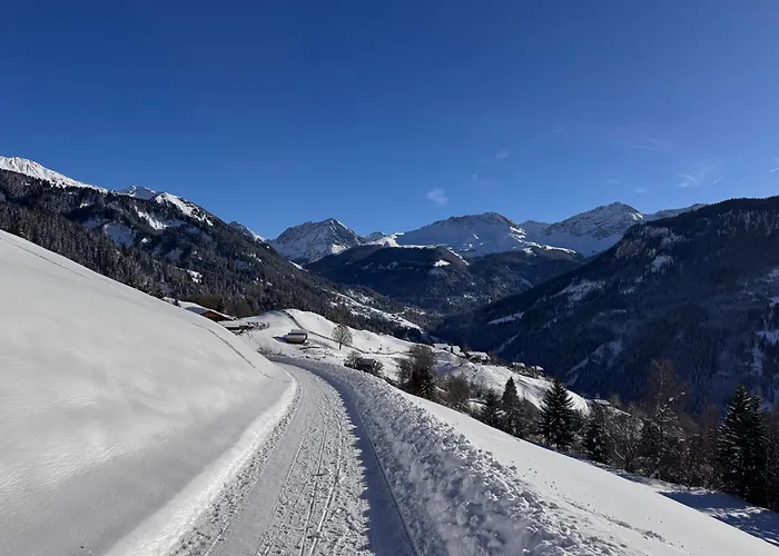 Bambi Auf 1400 M Nahe Arosa Peist