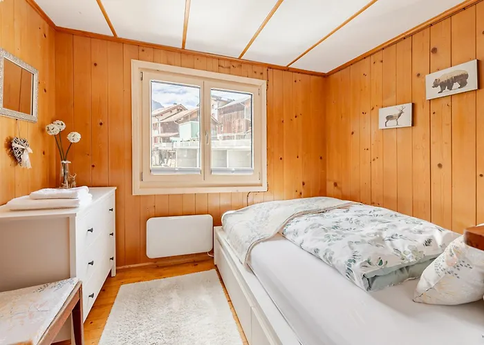 Bambi Auf 1400 M Nahe Arosa *