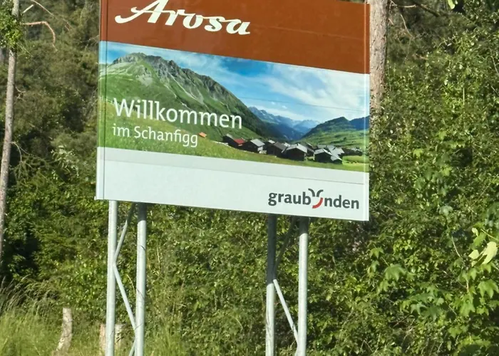 Bambi Auf 1400 M Nahe Arosa