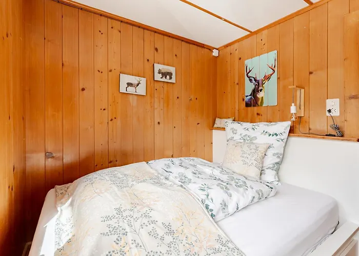 Bambi Auf 1400 M Nahe Arosa Peist